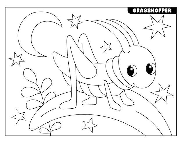 Desenhos de insetos para colorir para crianças