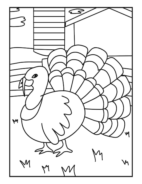 Desenhos para colorir para crianças de animais de fazenda da turquia