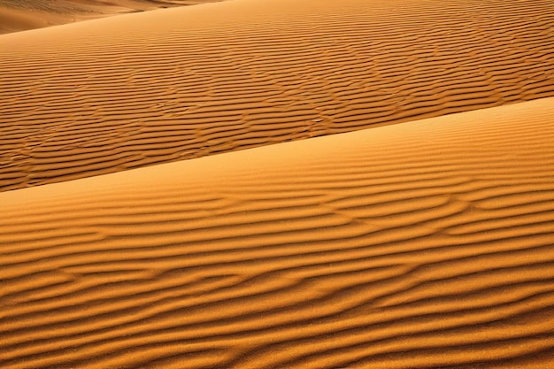 Vetor deserto de dunas de areia