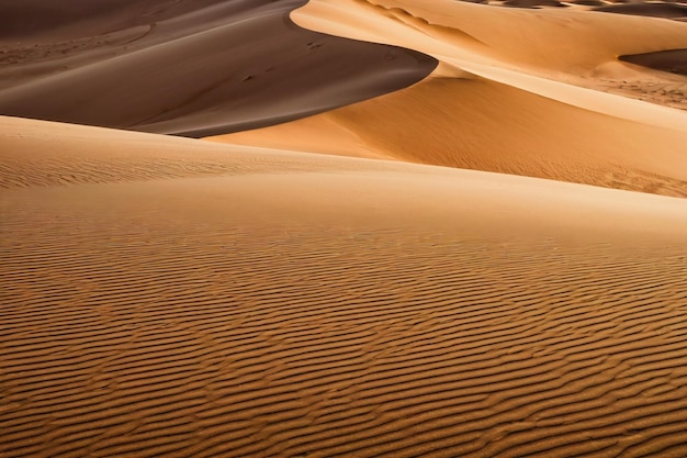 Vetor deserto de dunas de areia