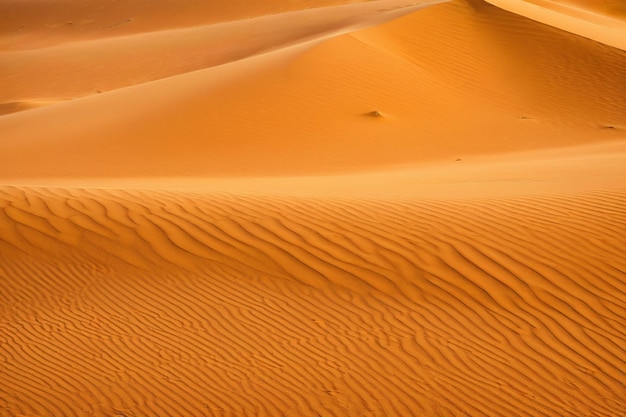 Vetor deserto de dunas de areia