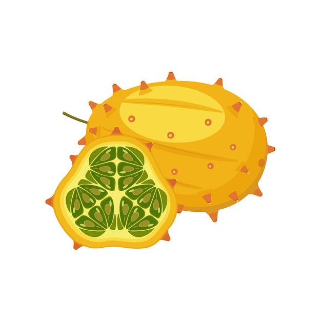 Design de conjunto de pepino cravado de kiwano com frutas tropicais cortadas isoladas vetor detalhado plano de melão com chifres