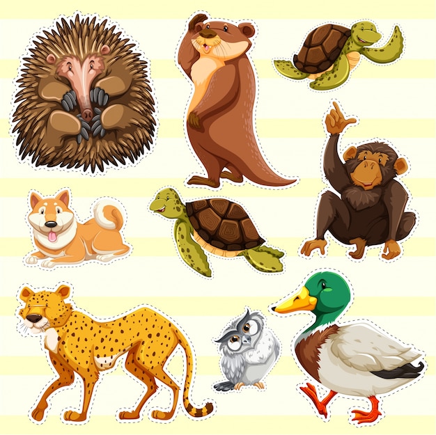 Design de etiqueta para animais selvagens em fundo amarelo