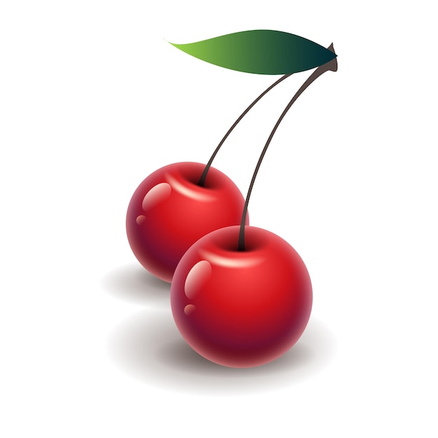 Vetor design de ilustração de frutas vetoriais criativas de cereja de cor vermelha