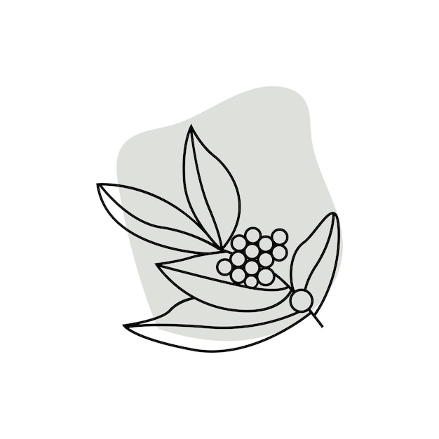 Design de logotipo de café árvore de café bebida vector template ilustração de símbolo
