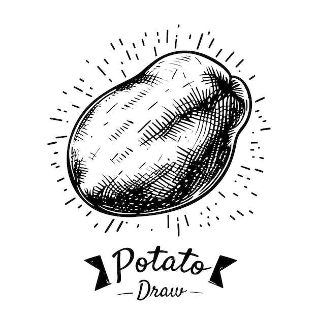 Design de logotipo de ícone desenhado à mão de batata