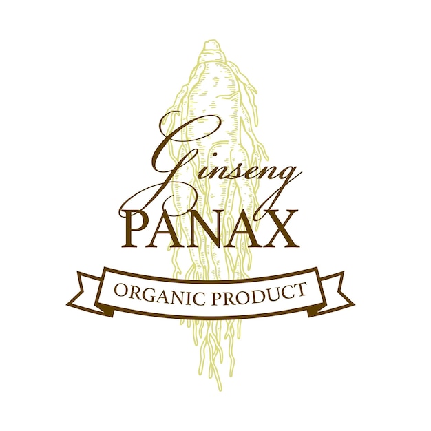 Design de logotipo vintage de ginseng desenhado à mão ilustração vetorial botânica no estilo de desenho