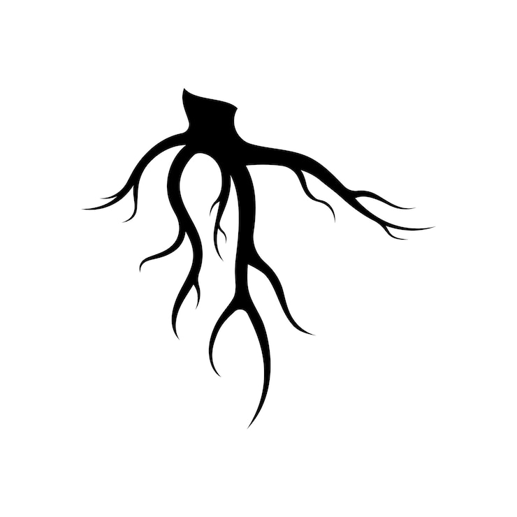 Vetor design de modelo criativo de logotipo abstrato natural de raiz de árvore única e fibrosa
