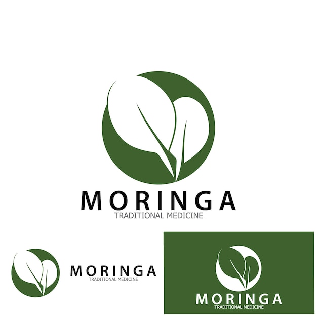 Design de modelo de ilustração vetorial de ícone de medicina tradicional de folha de moringa