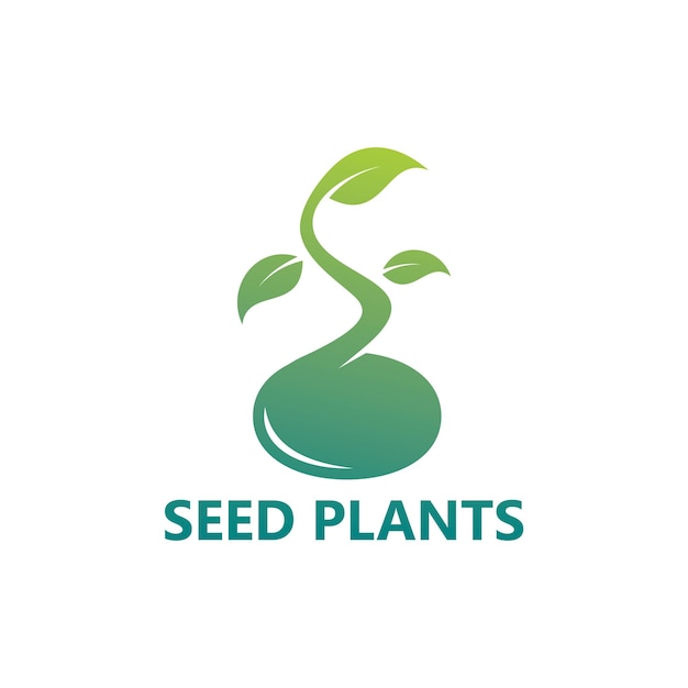 Design de modelo de logotipo de plantas de sementes