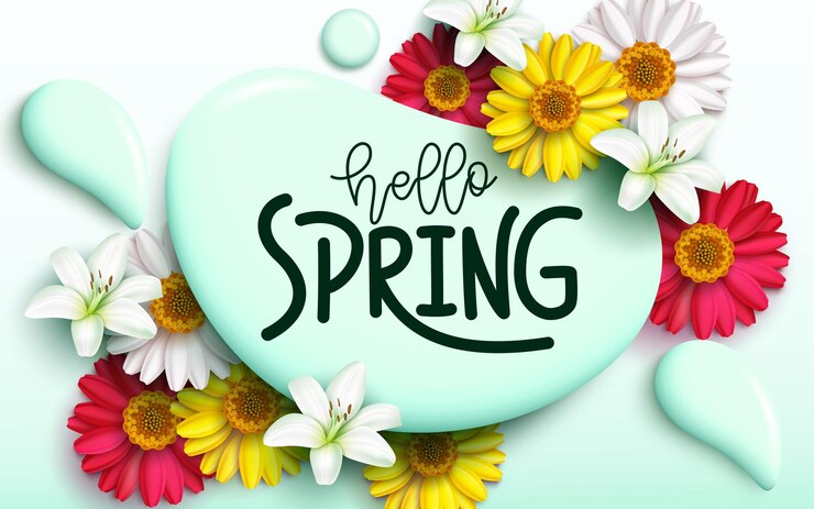 Vetor design de modelo de vetor de primavera olá texto de tipografia de primavera em respingos de água com margarida colorida