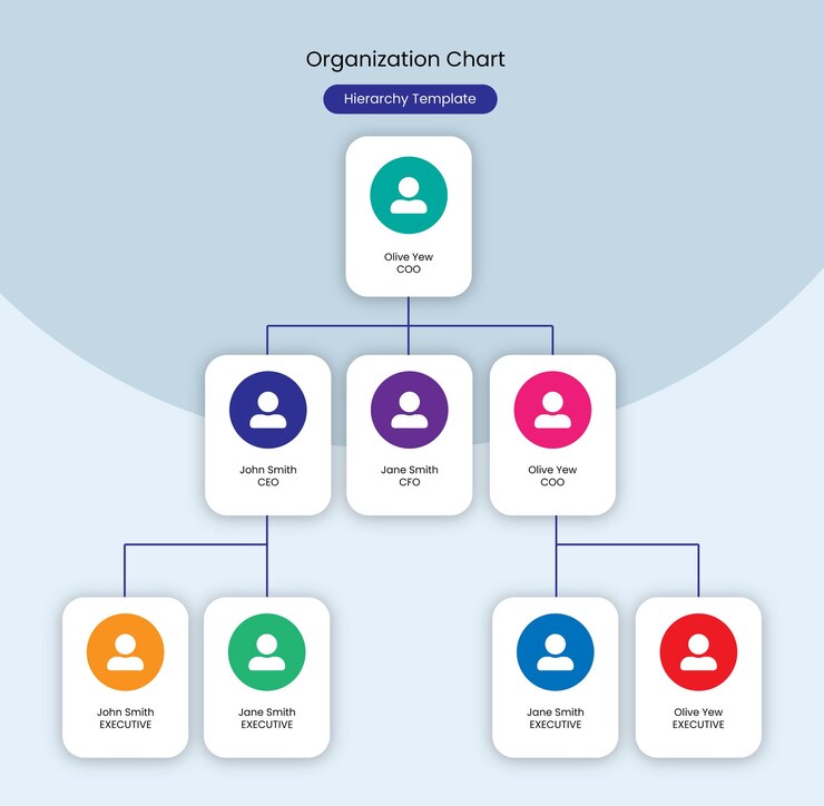 Vetor design de modelo vetorial de organograma para web e impressão
