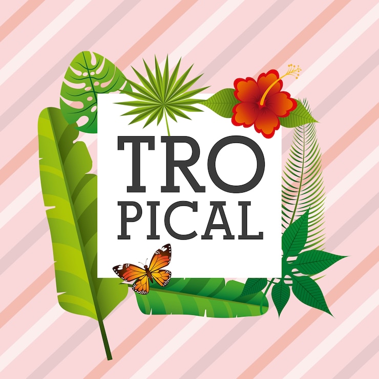Vetor design de moldura tropical