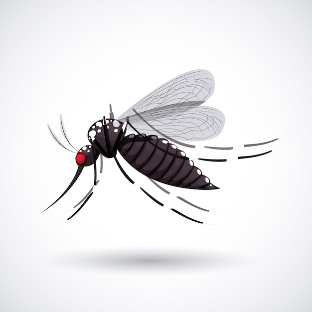 design de mosquito infeccioso
