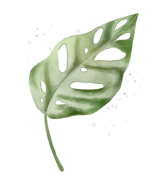 Vetor design de pôster em aquarela com folha de monstera isolada. folha de vetor isolada.