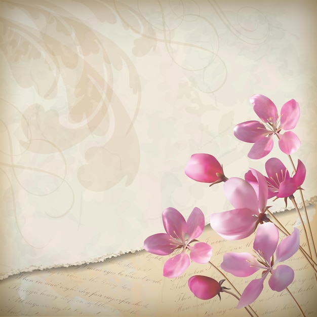 Design de primavera com elegantes flores rosa desabrochando