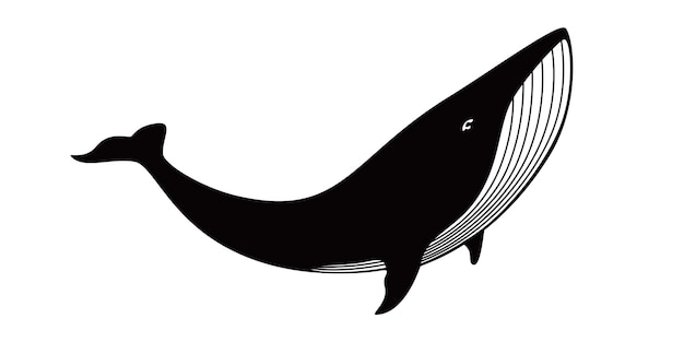 Design de silhueta de baleia jubarte mamífero marinho sinal e símbolo animal
