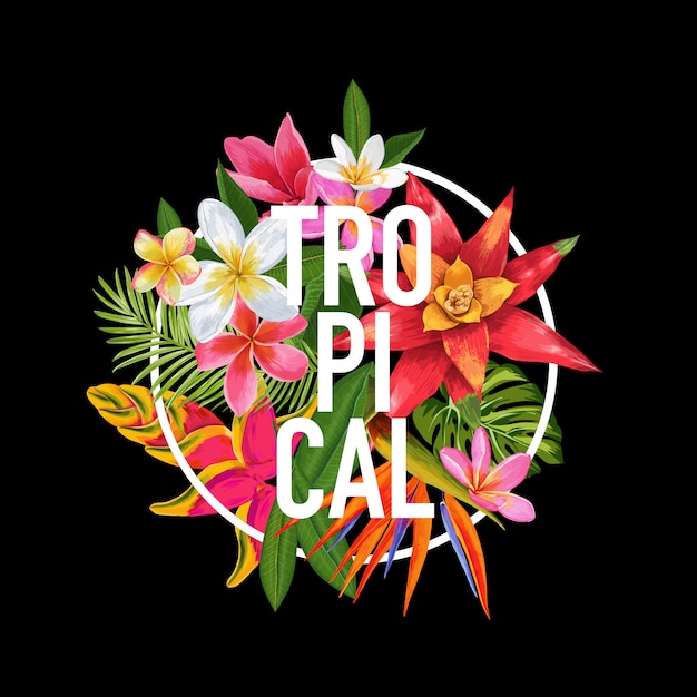 Design Floral Tropical. Ilustração exótica das flores do Plumeria