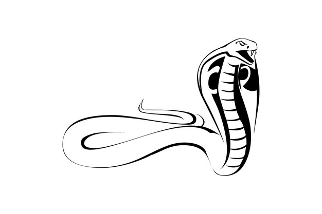 Como Desenhar Cobra Passo a Passo: Aula de Desenho, Gráficos - Envato  Elements