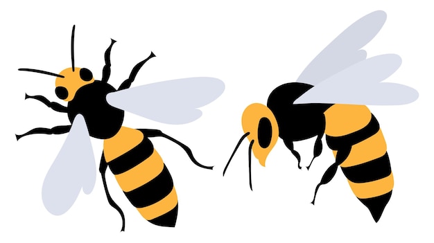 Design plano de abelha em fundo branco, vetor