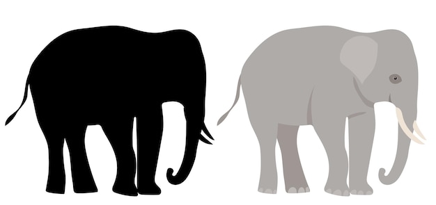 Design plano de elefante isolado no vetor de fundo branco