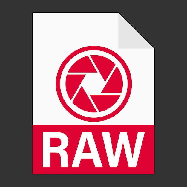 Design plano moderno de ícone de arquivo raw para web