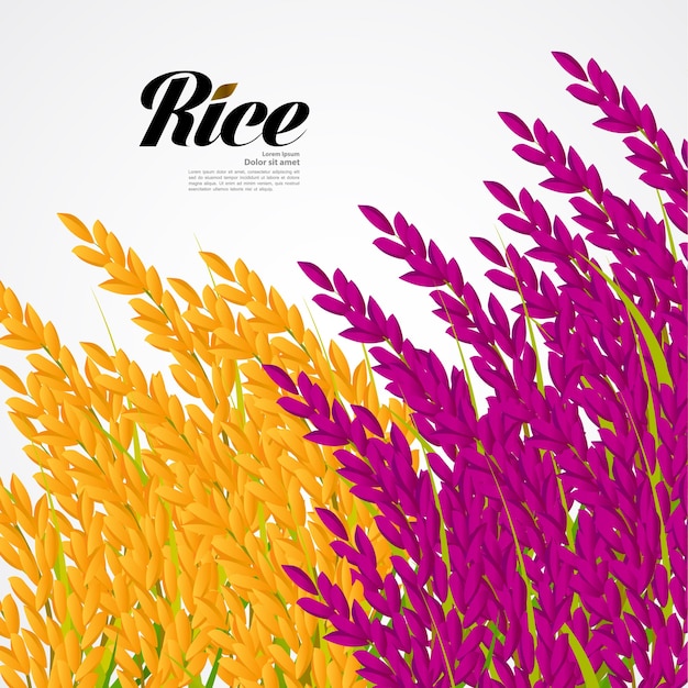 Vetor design premium rice