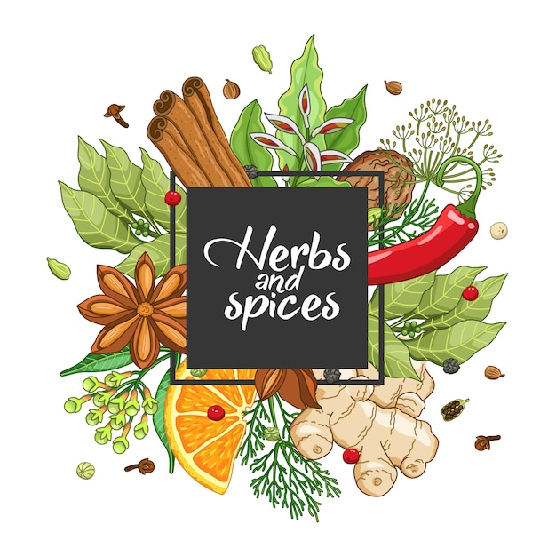 design quadrado de inverno com especiarias e ervas