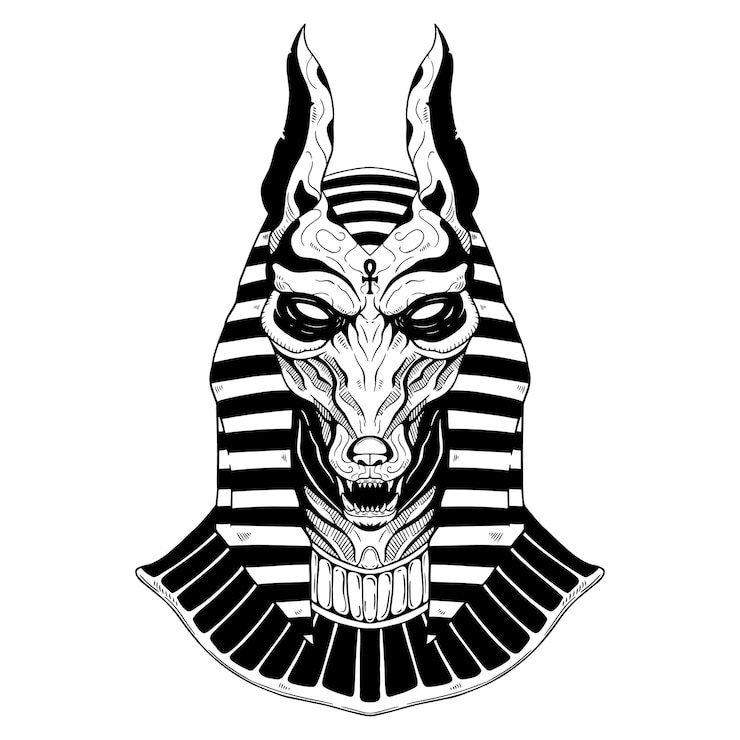Vetor deus egípcio anúbis com desenho à mão ou estilo de esboço anúbis preto e branco