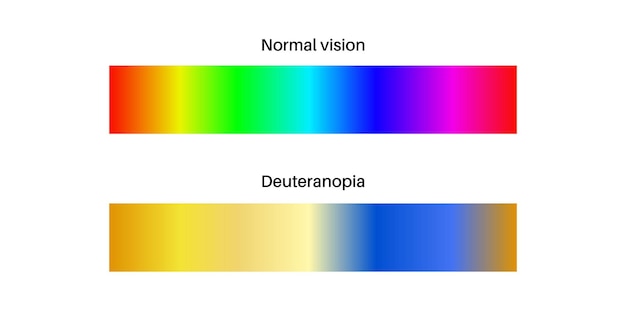 Vetor deuteranomalia e deuteranopia