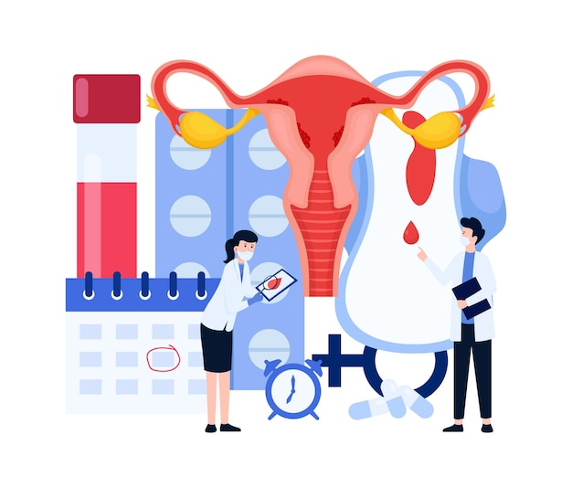 Dia da higiene menstrual, ilustração médica explicando a importância da higiene menstrual