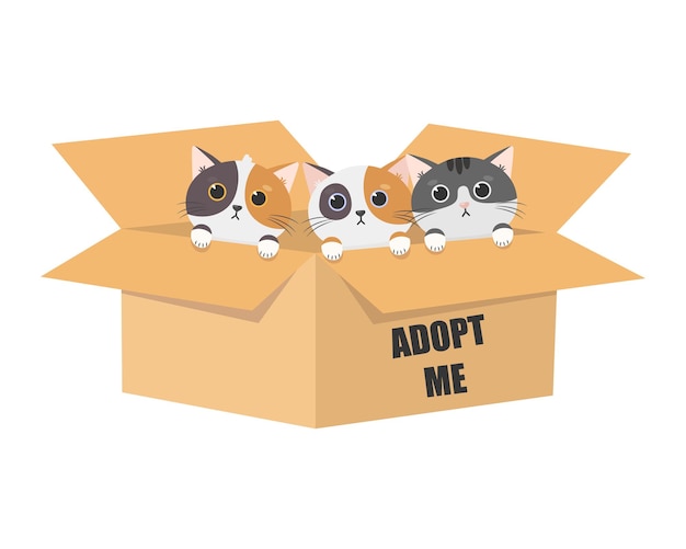 Dia internacional dos animais sem-teto Gatos bonitos dos desenhos animados em uma caixa de papelão com as palavras Adote-me