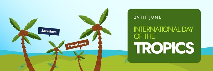 Vetor dia internacional dos trópicos, 29 de junho: um banner com uma árvore de palmeira com vista para a praia.
