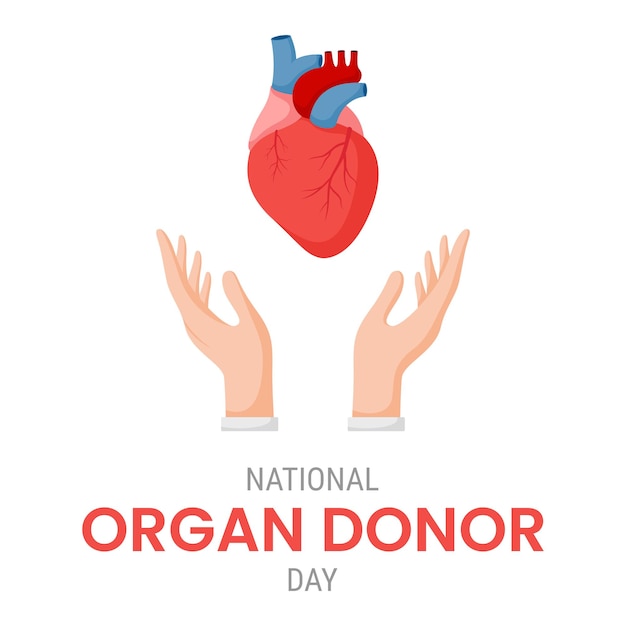 Dia nacional do doador de órgãos com coração humano