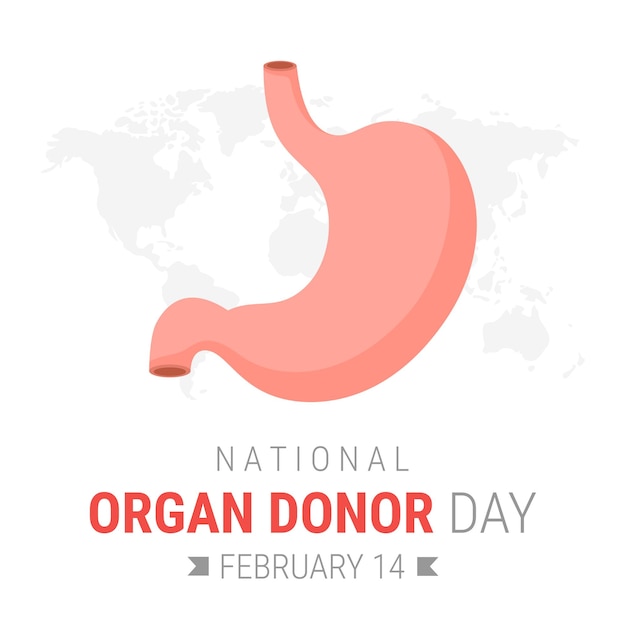 Dia nacional do doador de órgãos com estômago