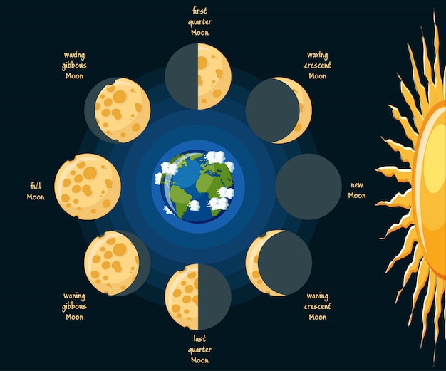 Vetor diagrama básico das fases da lua