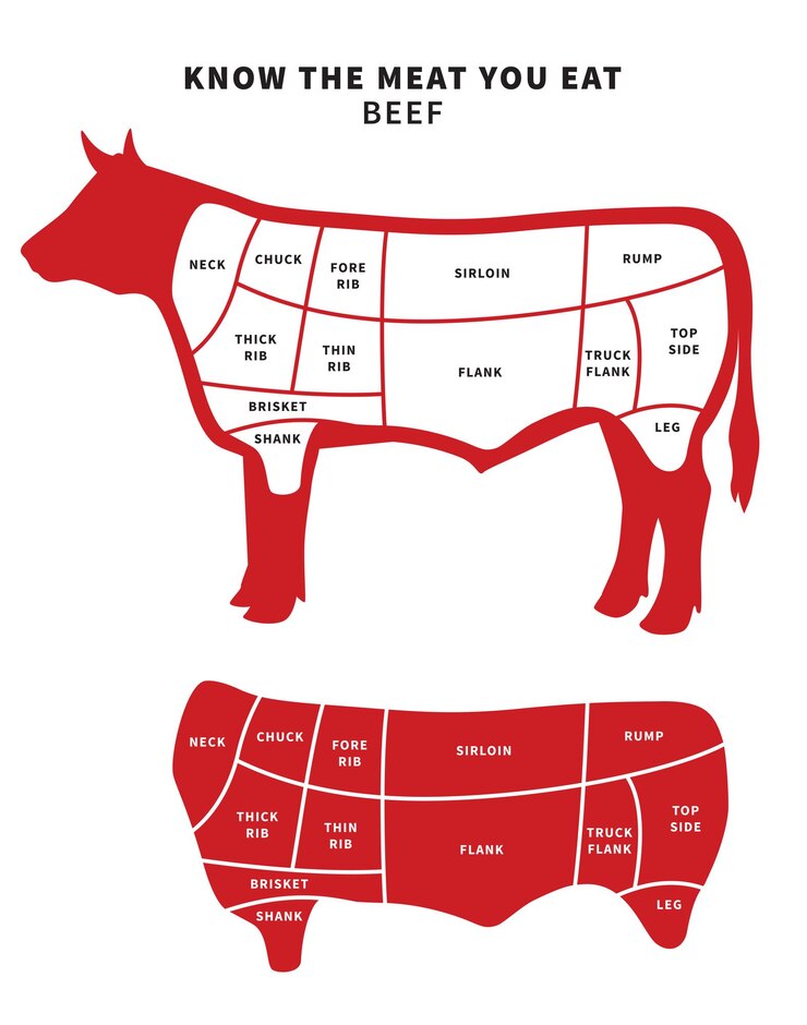 Vetor diagrama de cortes de carne vermelha para assado e bife. ilustração vetorial