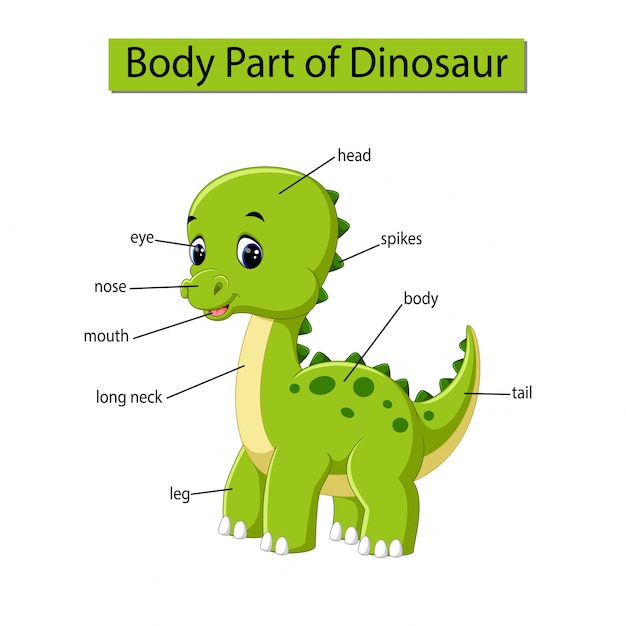 Diagrama mostrando a parte do corpo do dinossauro