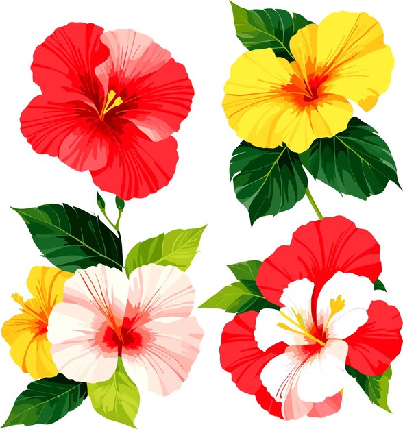 Vetor diferente tipo de ilustração vetorial de hibisco desenho floral