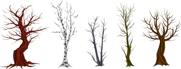 Diferentes árvores sem folhas outono inverno floresta um parque