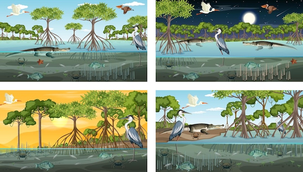 Diferentes cenas de paisagem de floresta de mangue com animais e plantas