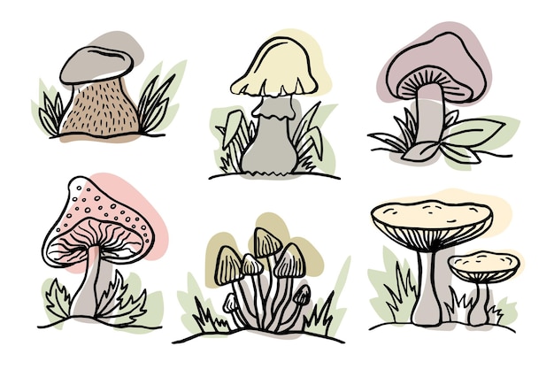 Diferentes cogumelos florestais ou cogumelos venenosos com caule e tampa isolados no conjunto de vetores de fundo branco