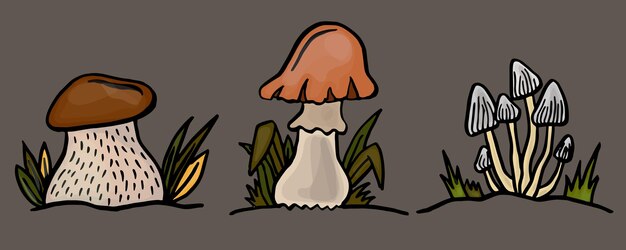Diferentes cogumelos florestais ou cogumelos venenosos com caule e tampa isolados no conjunto de vetores de fundo branco