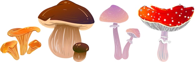 Diferentes cogumelos voam agaricsvector cogumelos