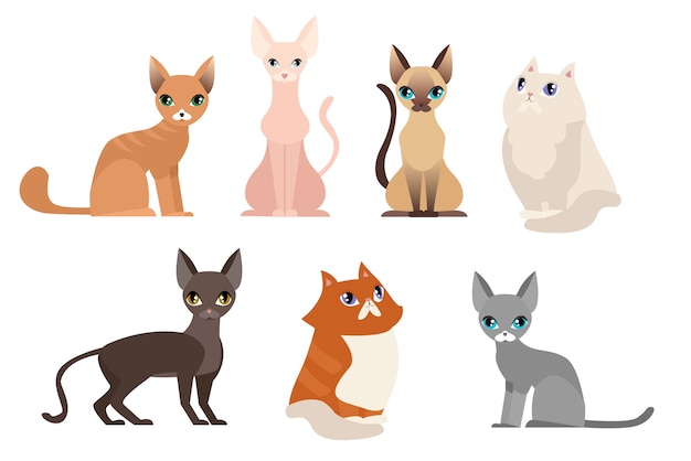 Diferentes raças de gatos, bonito animal de estimação, diferentes gatos em estilo simples de desenho animado.