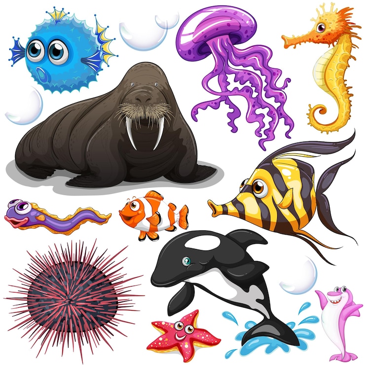 Vetor diferentes tipos de animais marinhos