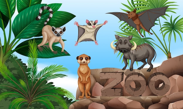 Diferentes tipos de animais selvagens no zoológico