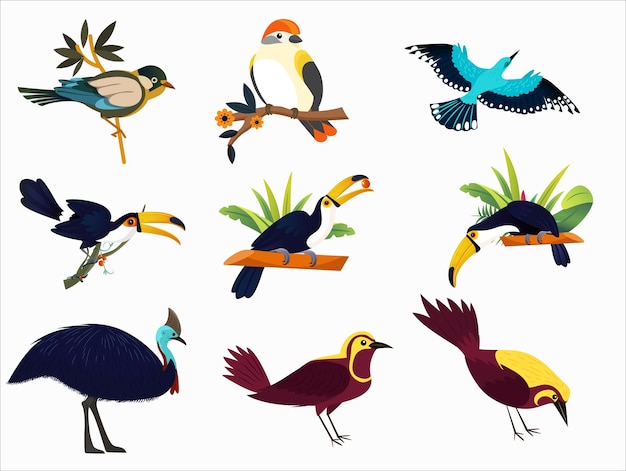 Vetor diferentes tipos de aves