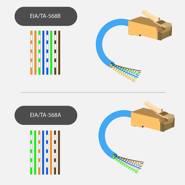 Vetor diferentes tipos de conector crimds de cabos rj45