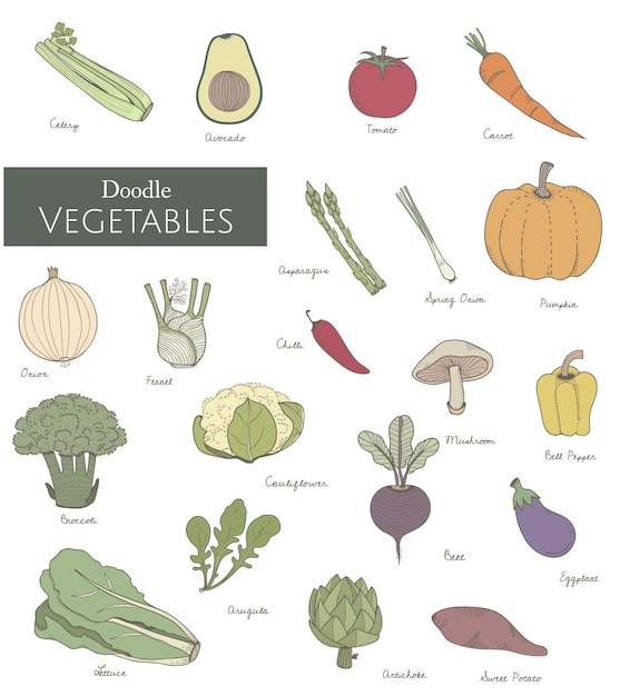 diferentes tipos de vegetais